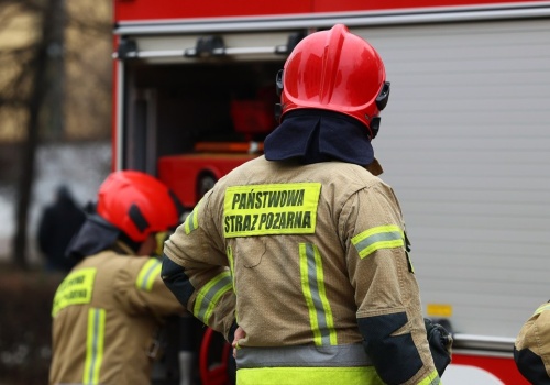 Pożar lasu i nasypu kolejowego. Ponad stu strażaków i samoloty gaśnicze w akcji