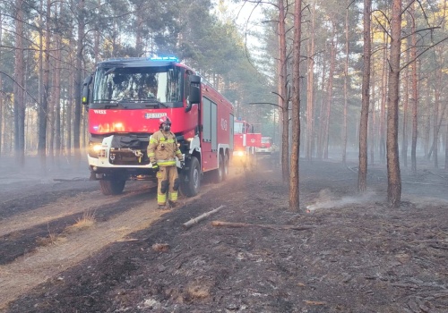 Duży pożar traw i lasu w Wielkopolsce. W akcji prawie 30 zastępów