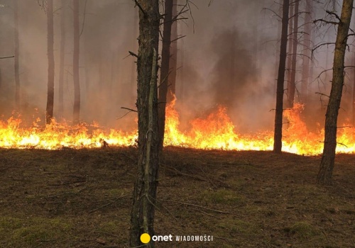 Potężny pożar w Wielkopolsce. Na miejscu 28 zastępów straży pożarnej