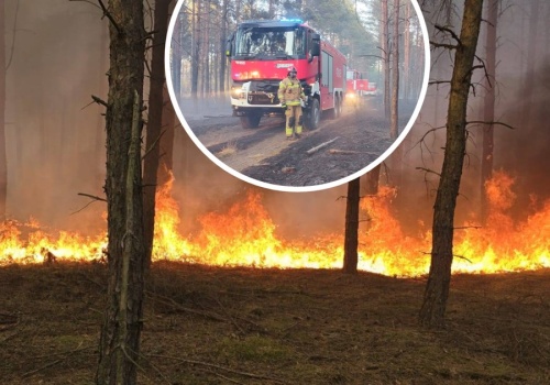 Ogień rozszalał się w Wielkopolsce. Drony i samoloty na pomoc