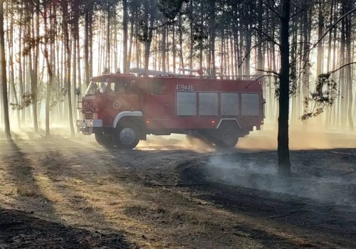 Wielki pożar w Wielkoposce. Spłonęły hektary