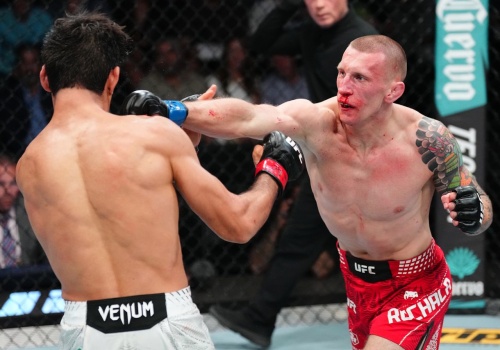 Zdecydowali sędziowie. Trzy rundy walki i porażka Polaka na gali UFC