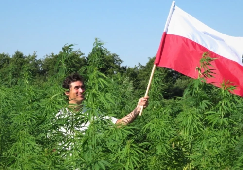 Kurs Kombinatu szybuje w przestworzach. Prezes: procenty nie są najważniejsze