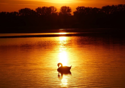 Niedziela pod znakiem zmiennej pogody. Burze, wiatr i przejaśnienia w całym kraju