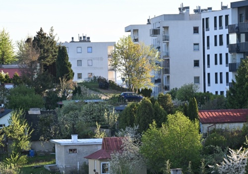 Działki ROD znikają w kilka godzin. Oto koszty i formalności krok po kroku