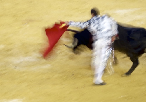 Tragiczny wypadek podczas przygotowań do korridy w Maladze. Byk śmiertelnie ranił byłego matadora