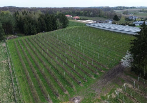 Dopłaty bezpośrednie: już 17,4 mld zł na kontach rolników