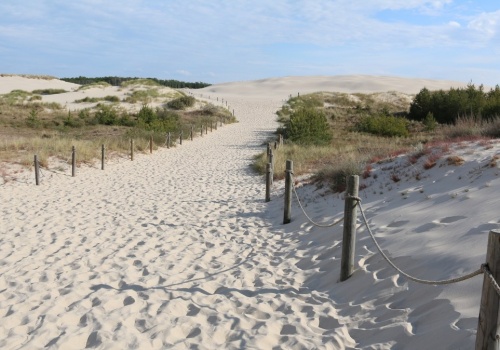 Ruchome wydmy nad Bałtykiem. Co je wyróżnia i kiedy najlepiej je zobaczyć