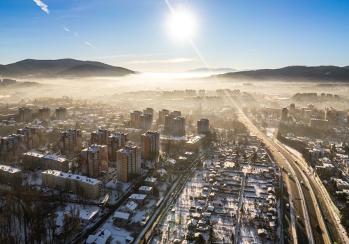 Miasto bez ptaków? Mieszkańcy bronią siedliska
