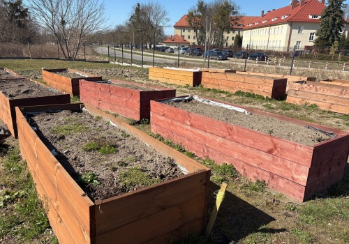 Zasiej, pielęgnuj, a potem ciesz się plonami