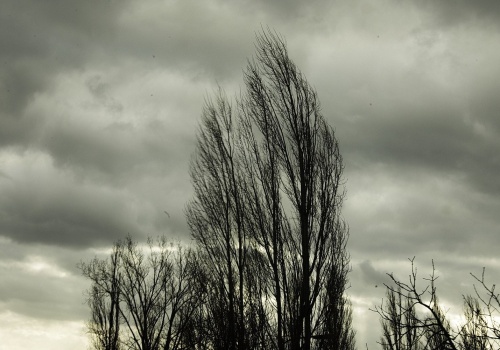 IMGW ostrzegł przed silnym wiatrem w 13 województwach