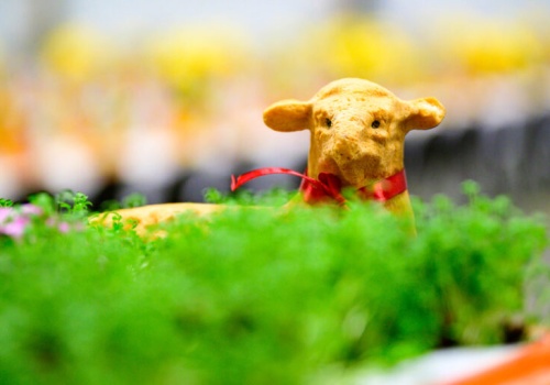 Wielkanoc na świecie: nietypowe zwyczaje i tradycje z Ukrainy