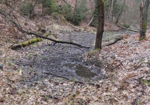 Powrót nad Jaworznik - wąwóz, źródło i ślady zapomnianej rzeki