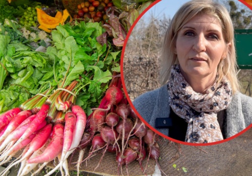 80 gatunków warzyw i sprzedaż bez pośredników. „Wszystko, co wyprodukuję, sprzedaję”