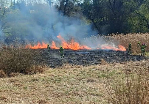 Pożar traw pod Lublinem. Strażacy szybko opanowali sytuację