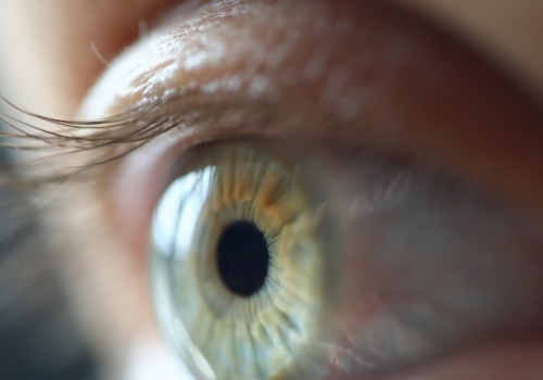 Nowa terapia siatkówczaka. Krople do oczu z egzosomami z nasienia świni