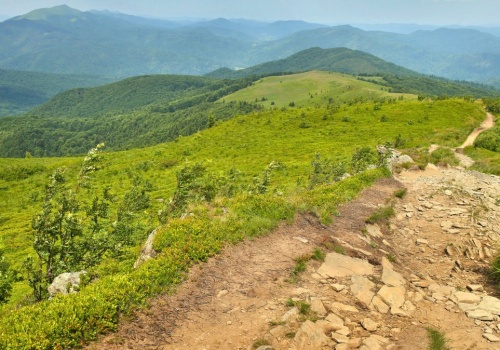 Jeden z najpiękniejszych szlaków w Polsce. Znajdziesz go w Bieszczadach