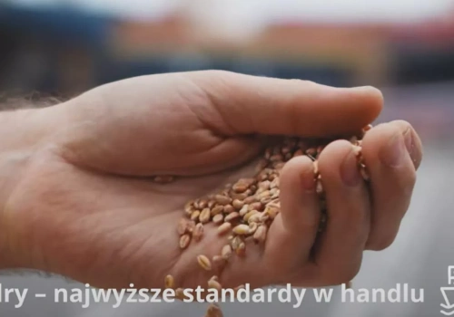 Oddali zboże i zostali z niczym. 22 miliony złotych wyparowały