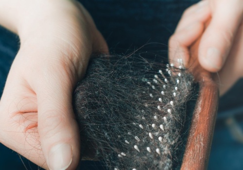 Widzisz taki meszek na szczotce do włosów? To wcale nie kurz