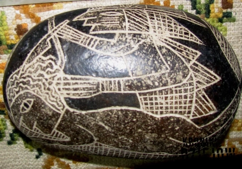 Znaleźli je w skałach sprzed milionów lat. Coś tu się nie zgadza