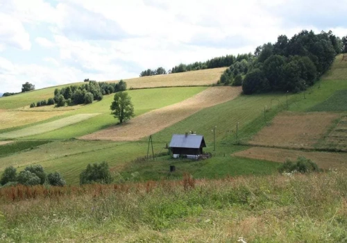 Ceny ziemi rolnej w górę. Sprawdź, gdzie hektar kosztuje najwięcej