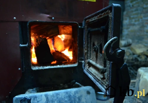 Ile naprawdę trzeba drewna, by zastąpić węgiel? Odpowiedź nie jest oczywista