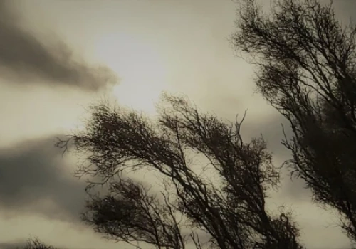 Silny wiatr uderzy w niemal całą Polskę. Ostrzeżenie także dla naszego regionu