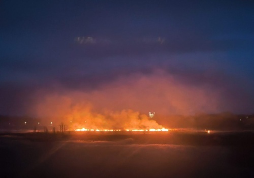 Wysyp pożarów traw w całym regionie. Płoną duże obszary, setki strażaków w akcji