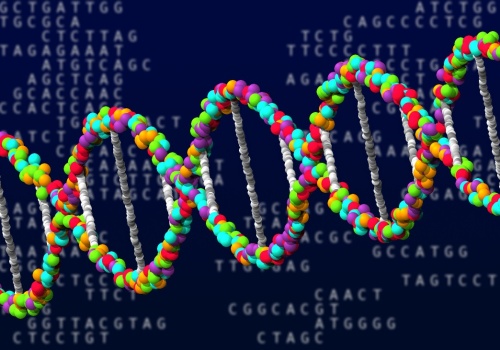 Nieznana wcześniej linia genetyczna przetrwała tam tysiące lat. Istniała do końca epoki lodowej