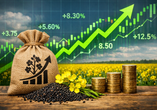 MATIF odbija po panice korzystają z drogiej ropy i słabego euro