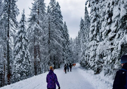 Zmiana w polskich Tatrach. Pilny komunikat dla turystów
