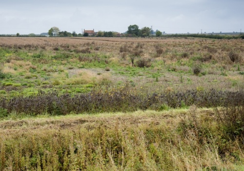 Przyszedł na komisariat i przekazał tragiczne wieści. Potwierdziło się