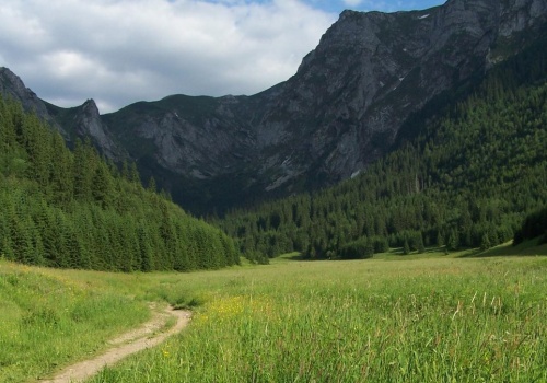 Wielka Polana Małołącka w Tatrach. Piękna i krótka trasa dla początkujących