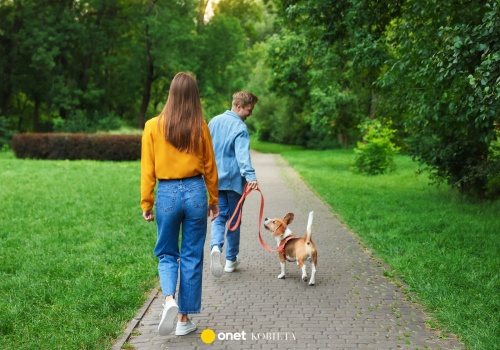 Ile trzeba spacerować, żeby spalić świąteczne kalorie? Całkiem sporo