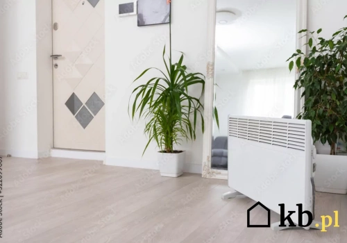 Ogrzewanie bez kaloryferów podbija domy. Powód? Niższe rachunki