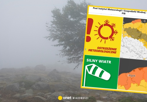 Ostrzeżenia IMGW drugiego stopnia przed wiatrem. Dotyczą 12 województw