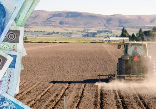 Koniec dzierżawy a dopłaty. Co zrobić, żeby ich nie stracić?