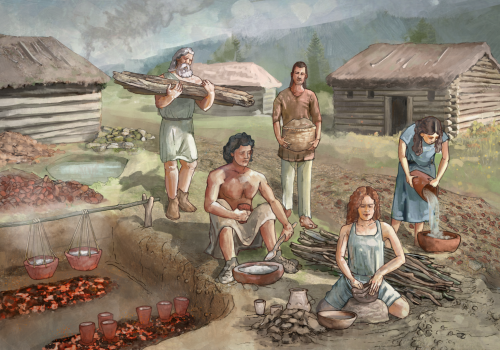 Kosmopolityczne osiedle warzelników soli z epoki brązu w Brzeziu