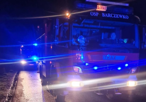 Tragiczny wypadek pod Olsztynem. Kierowca w płomieniach zginął na miejscu