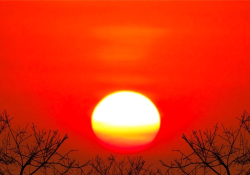 Ziemia nagrzała się o 6 stopni i lasy zamarły. 100 tys. lat katastrofy