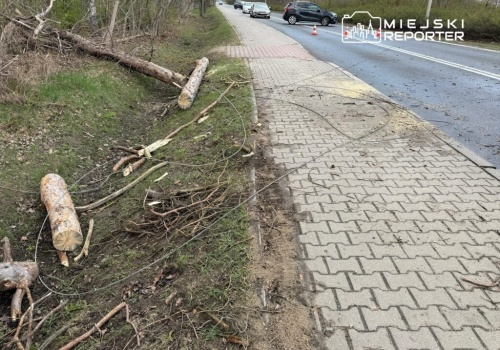 Poranna burza w Warszawie. Powalone drzewa, zablokowane ulice, mieszkańcy bez prądu