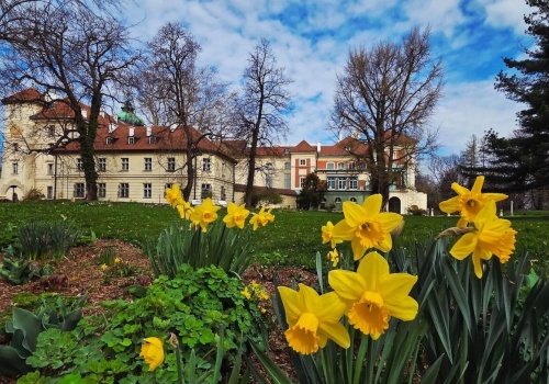 Muzeum-Zamek w Łańcucie. “Śladami tajemnic zamkowego zajączka”