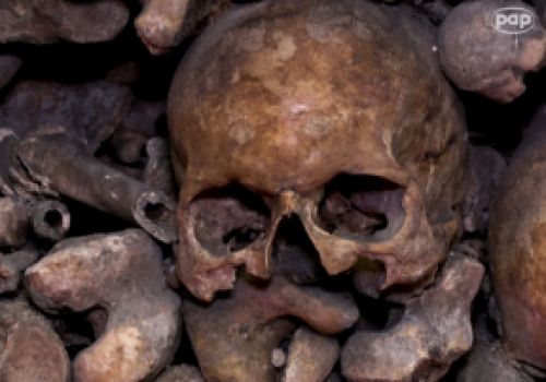 Paryskie Katakumby ponownie otwierają się po renowacji