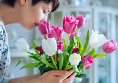 Nie wyrzucaj klapniętych tulipanów. Tak szybko przywrócisz im świeżość