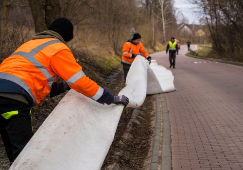 Juszkowo na ratunek żabom. Płotki przy drogach mają ograniczyć ich śmiertelność podczas migracji