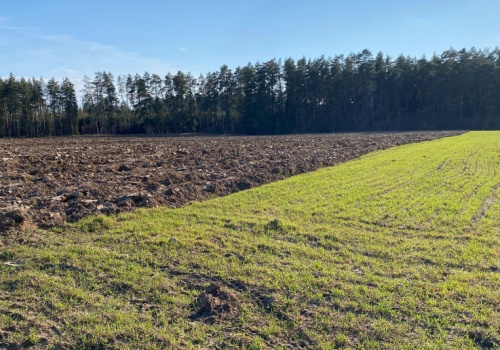 Który ekoschemat rolnicy wybierają najczęściej w kampanii dopłat 2026?