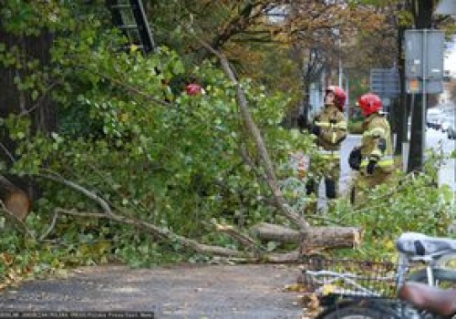 Silna burza w Warszawie. Wiatr spowodował szkody