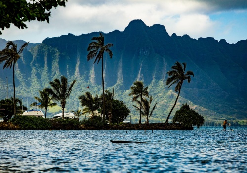 Katastrofalna „bomba deszczowa” nad Hawajami. Dwa biliony galonów wody i 3000% normy opadów w dwa tygodnie