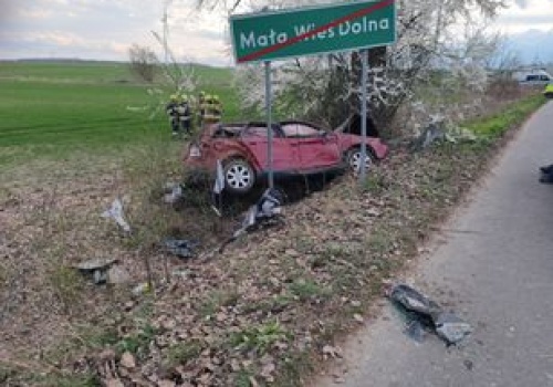 Tragiczny wypadek koło Zgorzelca. Nie żyje 17-letnia pasażerka Audi