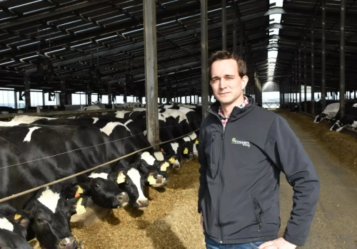 Holender przejął PGR w Polsce. Dziś ma 1400 krów